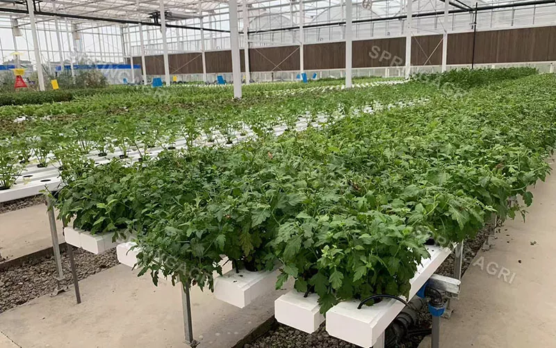 Vertical NFT Farming ລະບົບການປູກຝັງ Hydroponic